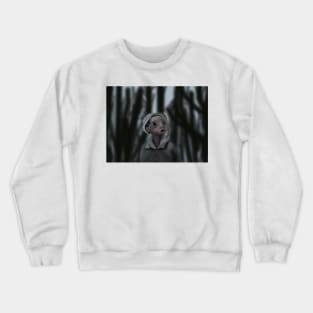 Lost in the VVoods Crewneck Sweatshirt